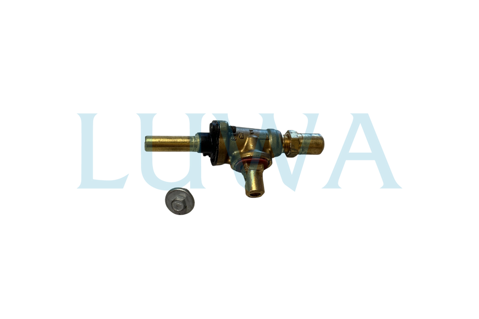 Viking Valve and Bolt Kit